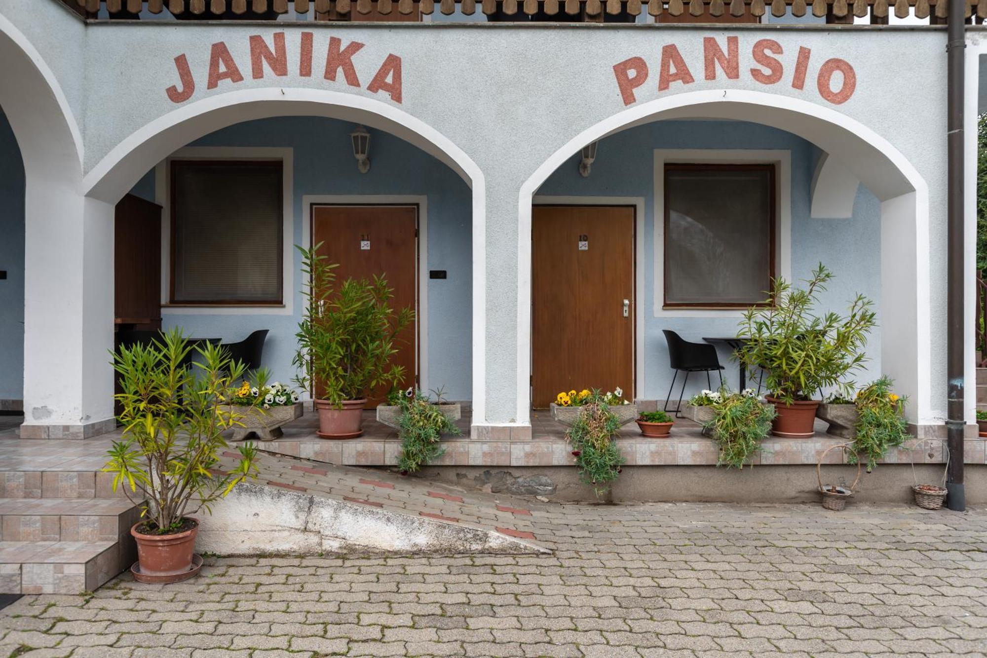 Janika Pension Вонярцвашгедь Екстер'єр фото